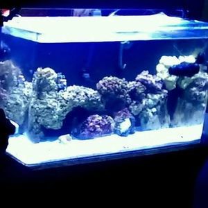 Meet your Posher, Cory